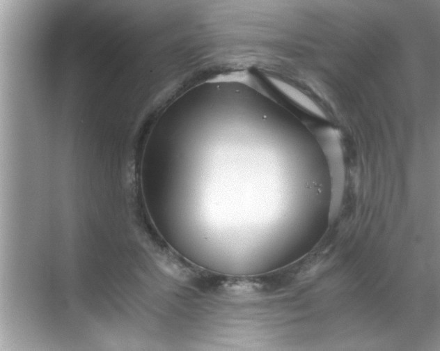 X0000069410407200605262214