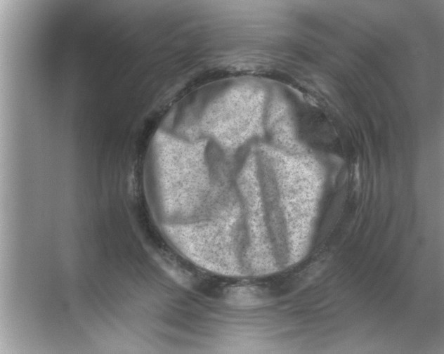 X0000069410408200605262214