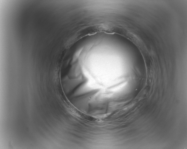 X0000069410409200605262214