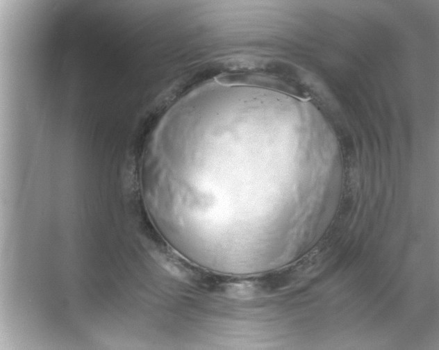 X0000069410411200605262214