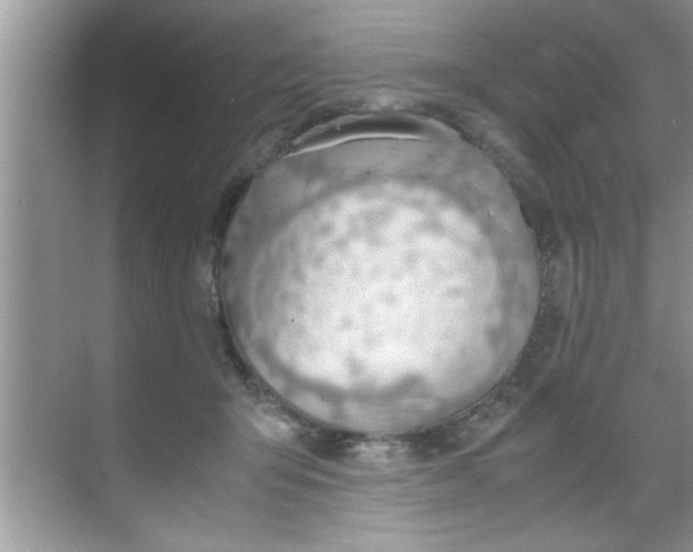 X0000069410415200605262214