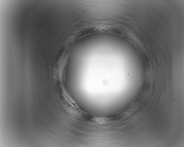 X0000069410417200605262214