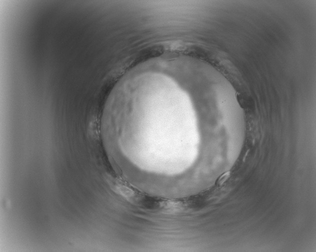 X0000069410419200605262214