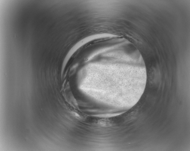 X0000069410420200605262214