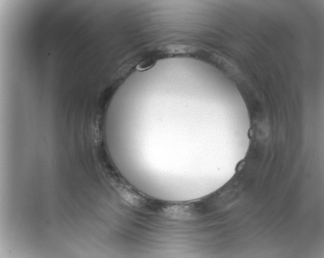 X0000069410422200605262214