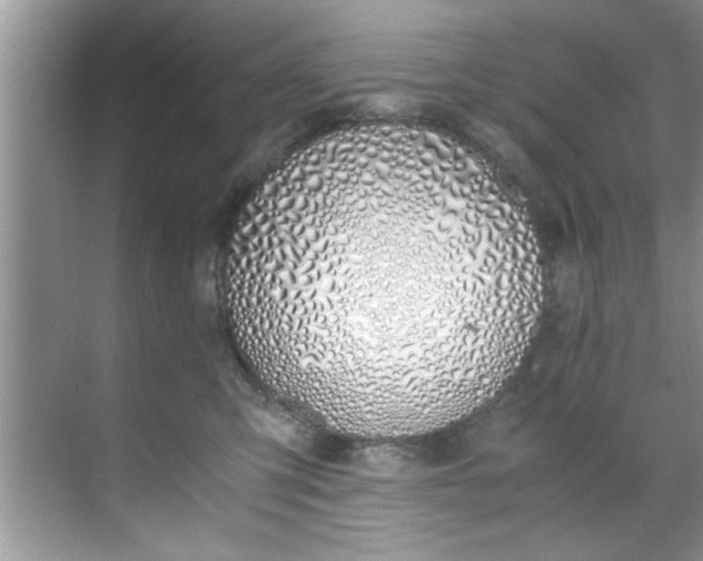 X0000069410423200605262214