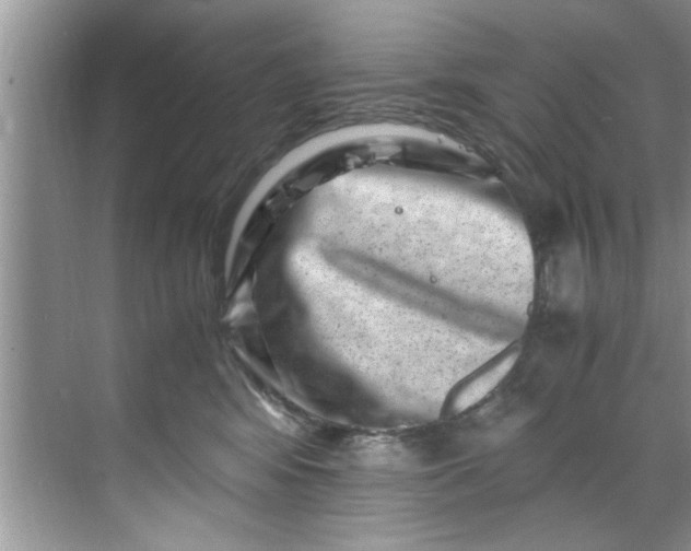 X0000069410424200605262214