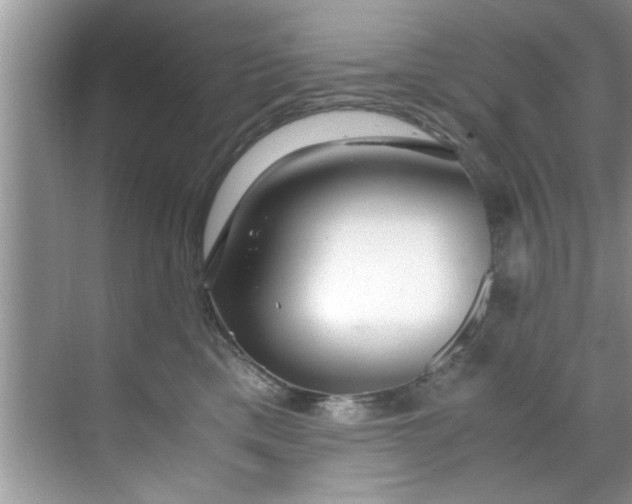 X0000069410425200605262214