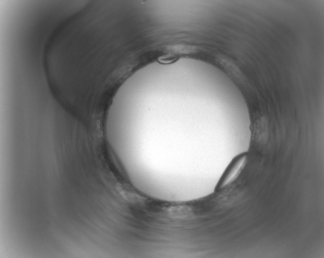 X0000069410426200605262214