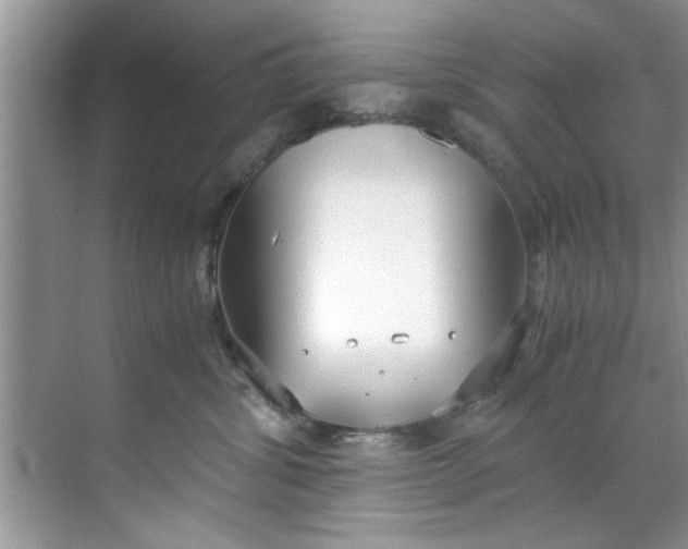 X0000069410428200605262214