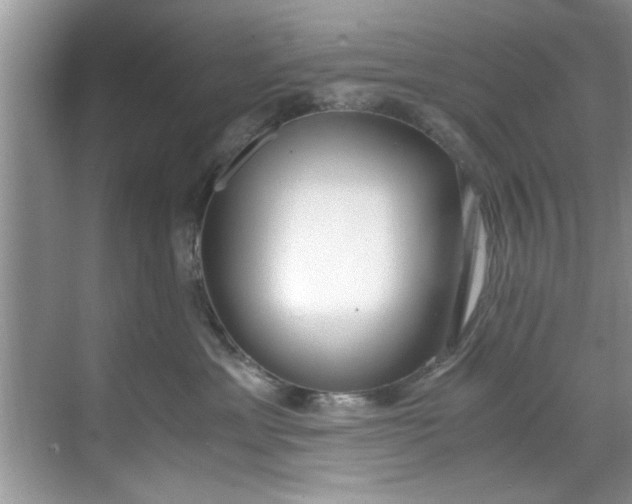 X0000069410429200605262214