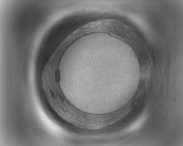 X0000069410431200605262214