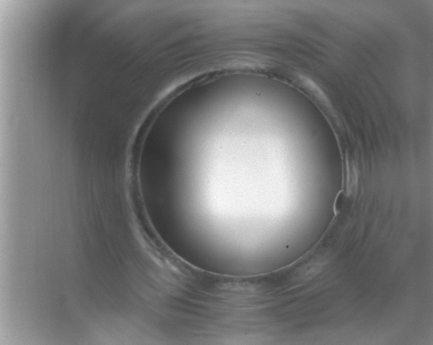 X0000069410435200605262213