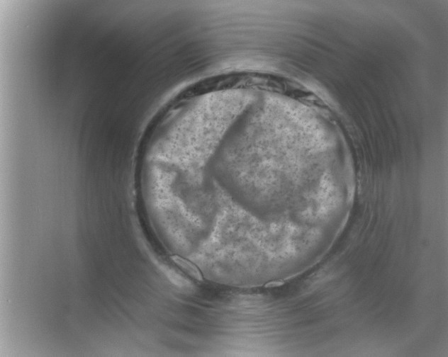 X0000069410438200605262213