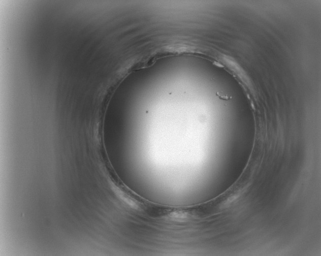 X0000069410441200605262213