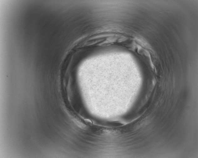 X0000069410442200605262213