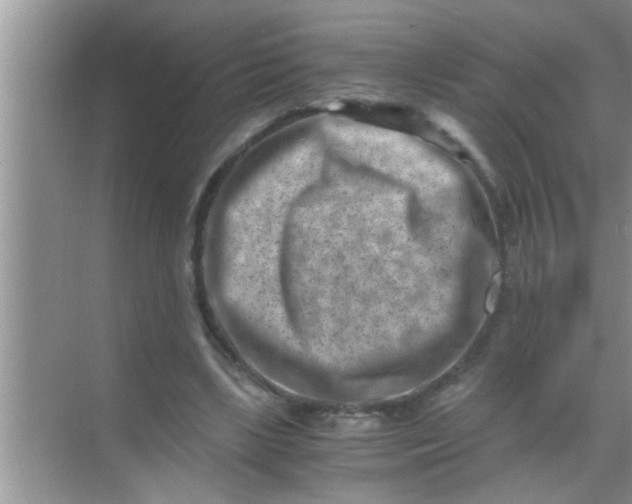 X0000069410443200605262213