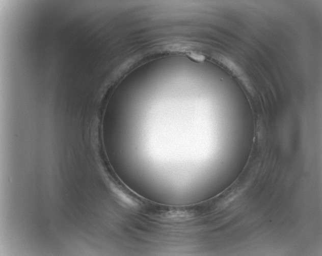 X0000069410445200605262213