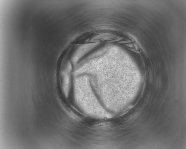 X0000069410447200605262213