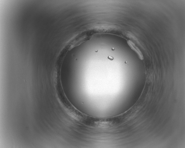 X0000069410448200605262213