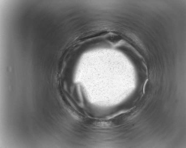 X0000069410449200605262213