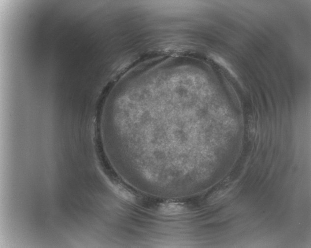 X0000069410451200605262213