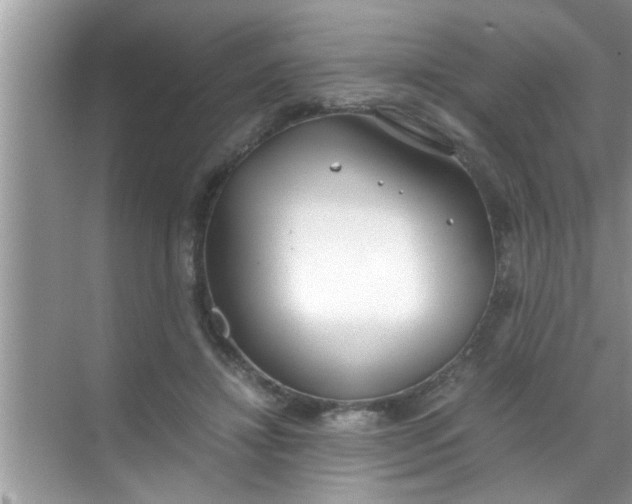 X0000069410452200605262213