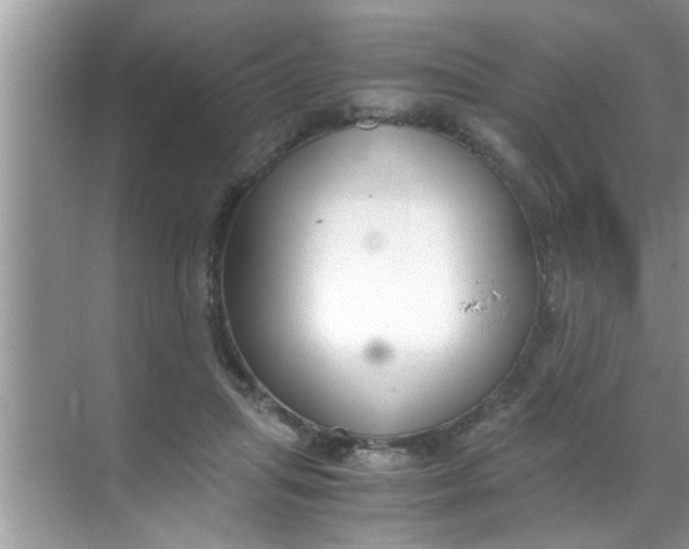 X0000069410455200605262213