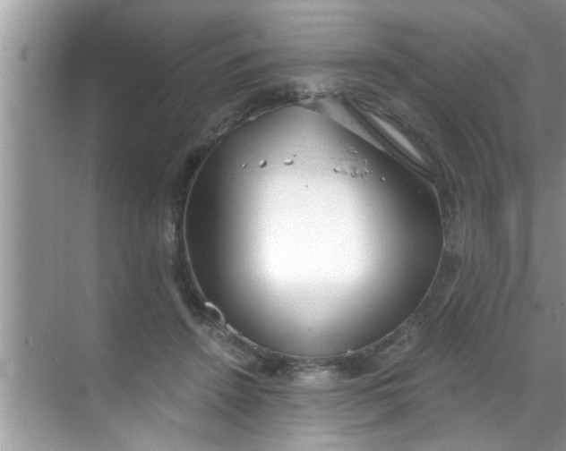 X0000069410456200605262213