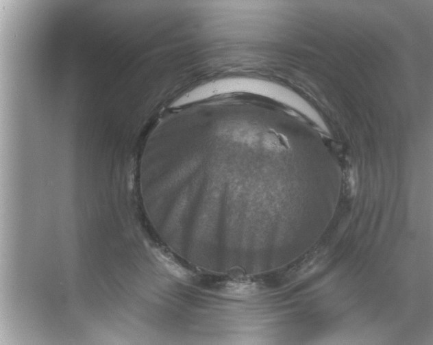 X0000069410458200605262213