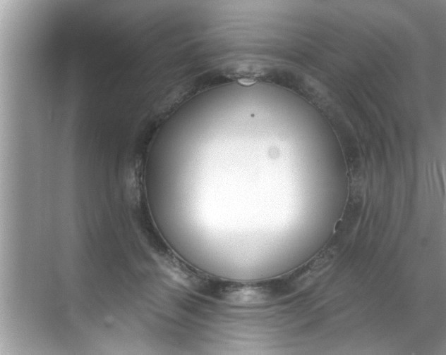 X0000069410460200605262213