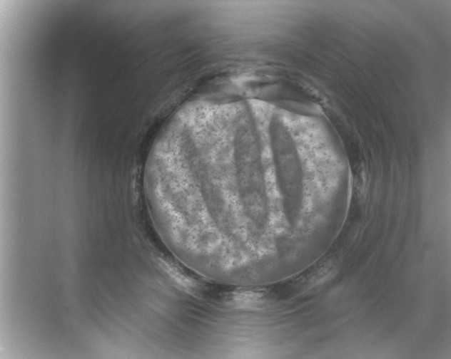 X0000069410462200605262213