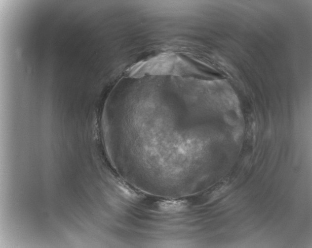 X0000069410465200605262213