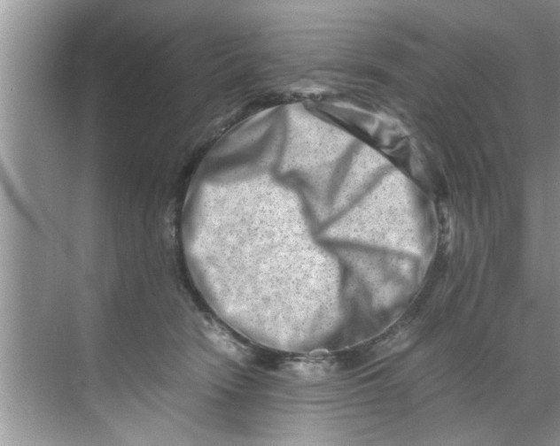 X0000069410466200605262213