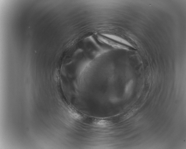 X0000069410467200605262214