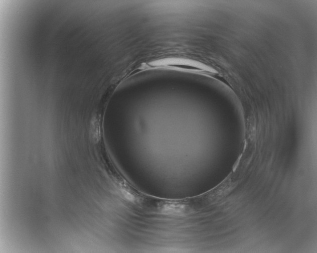 X0000069410471200605262214