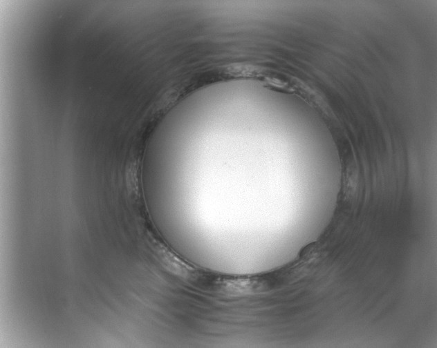 X0000069410473200605262214