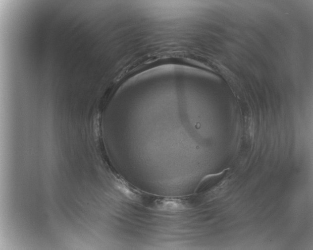 X0000069410475200605262214