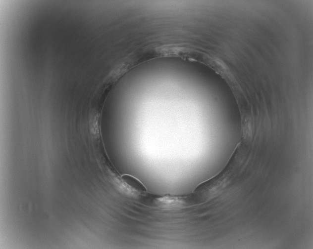 X0000069410477200605262214