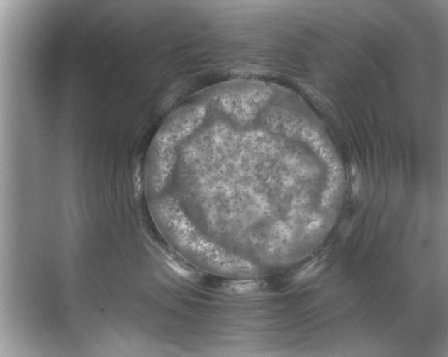 X0000069410479200605262214