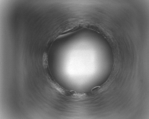 X0000069410480200605262214