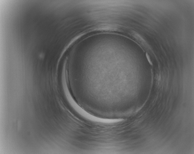 X0000069410484200605262213