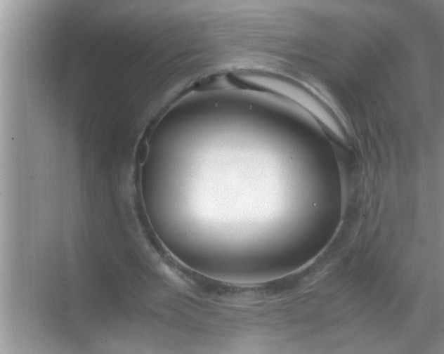 X0000069410485200605262213