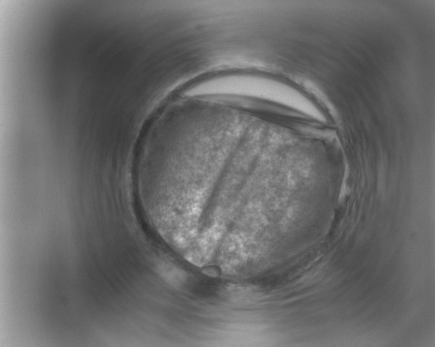 X0000069410487200605262213