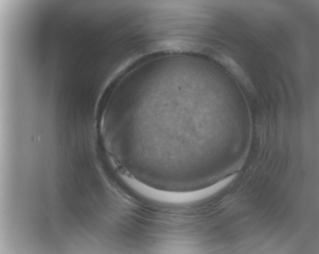 X0000069410488200605262213