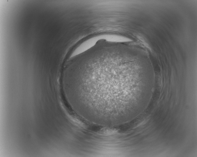 X0000069410491200605262213