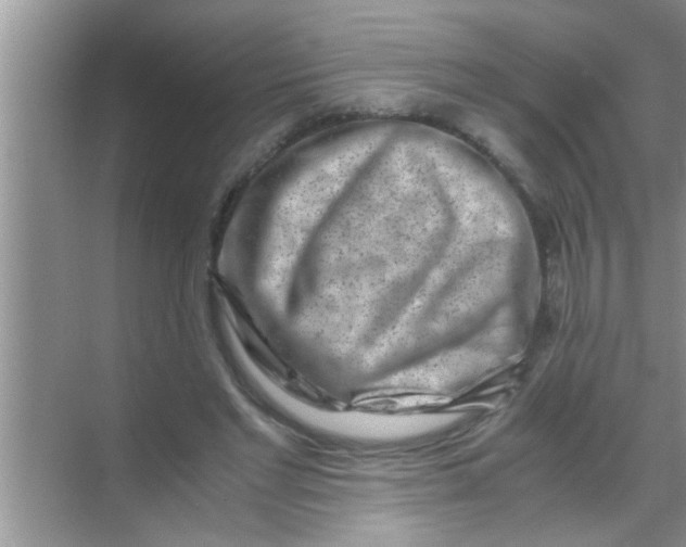 X0000069410493200605262213