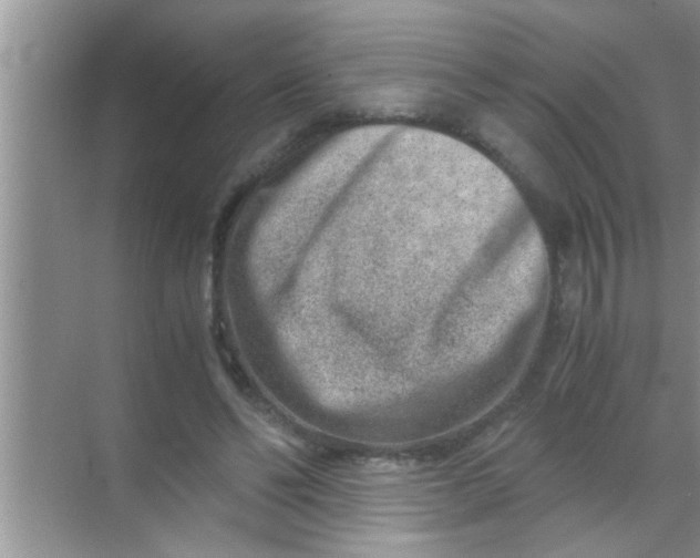 X0000069410494200605262213