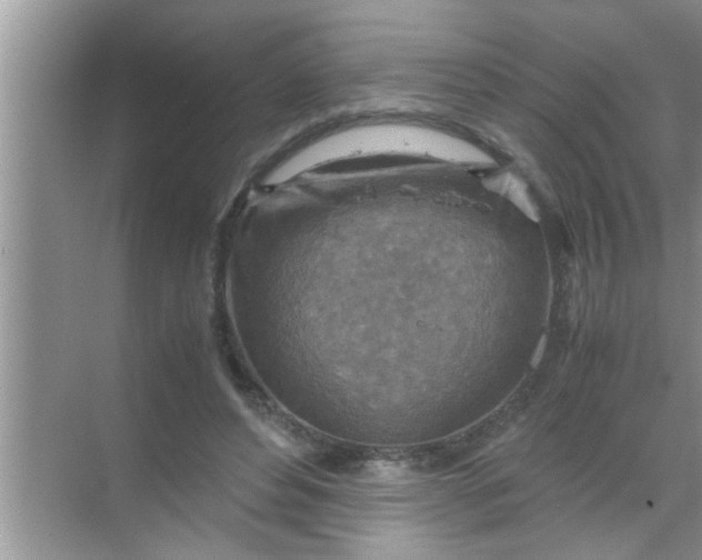 X0000069410496200605262213