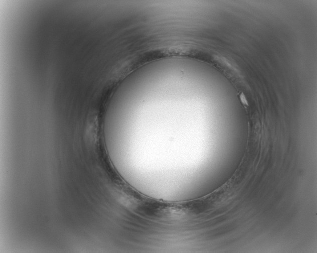 X0000069410498200605262213